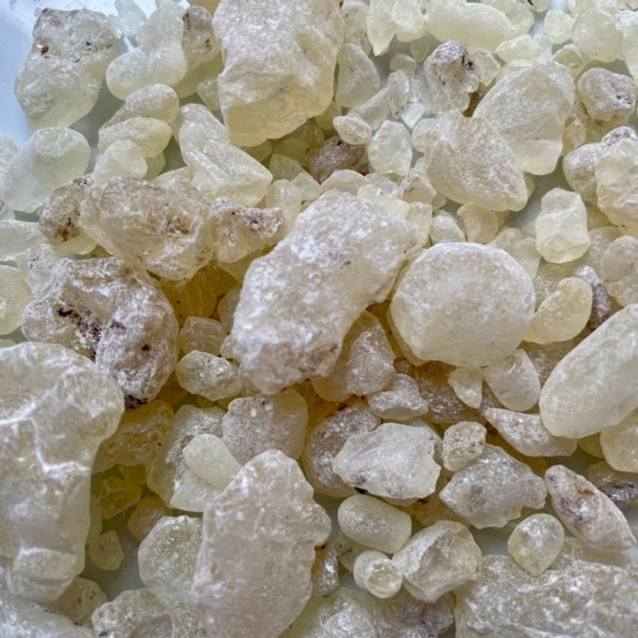 White Copal Resin