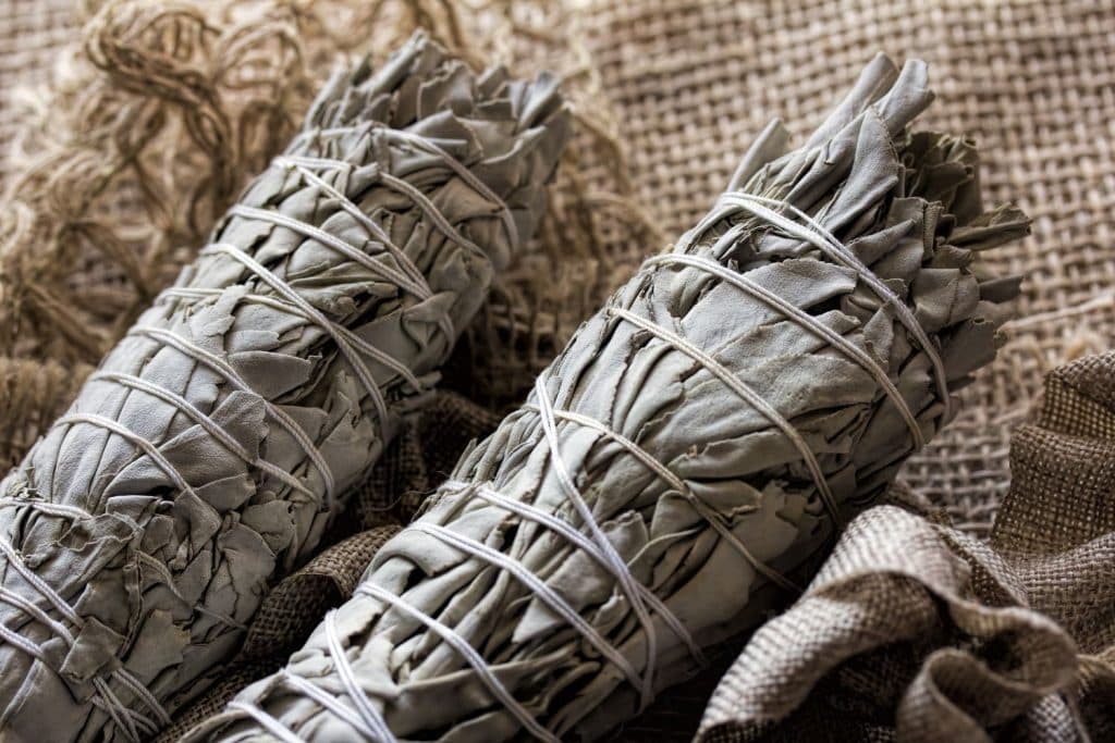Dried Sage